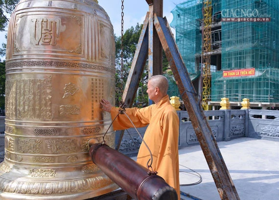Tungbuoc (7.jpg