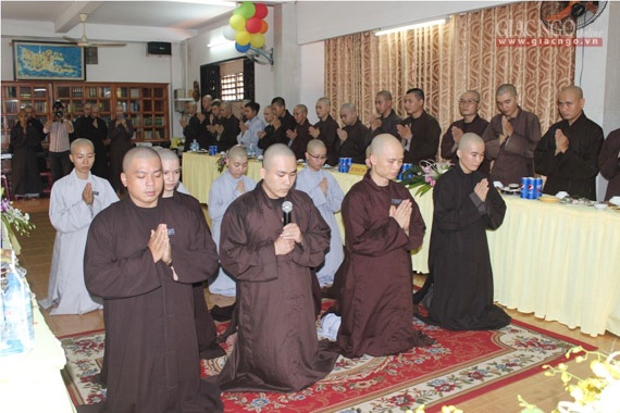 socapq31 (1 of 3).jpg