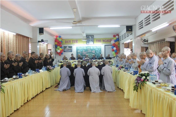 socapq31 (2 of 3).jpg