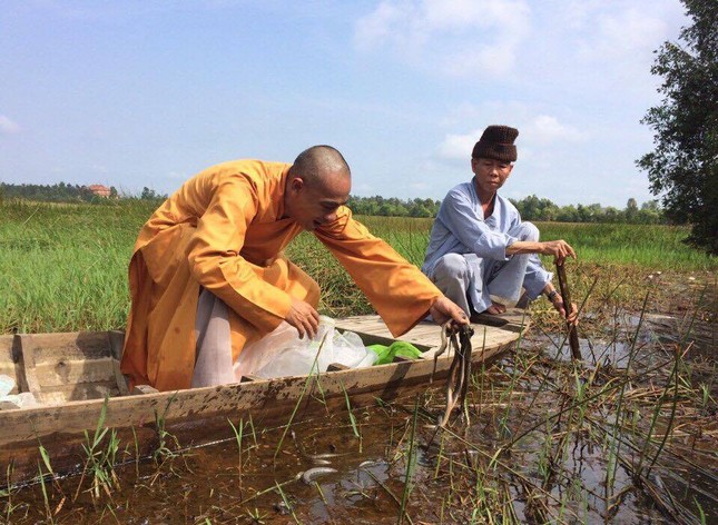 Thuong Toa Quy tha Ran vao Vuon QGTC.jpg