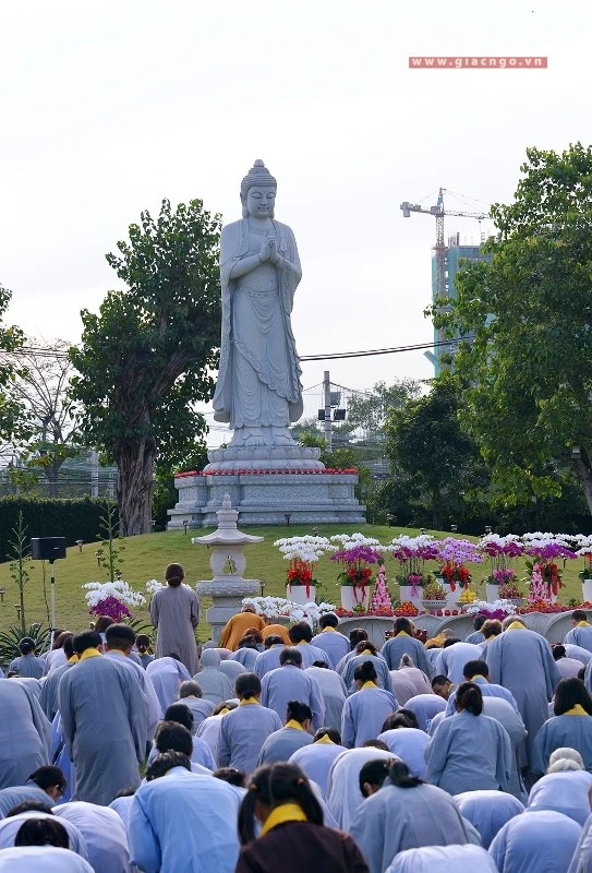 Le via Phat A Di Da (12a).jpg