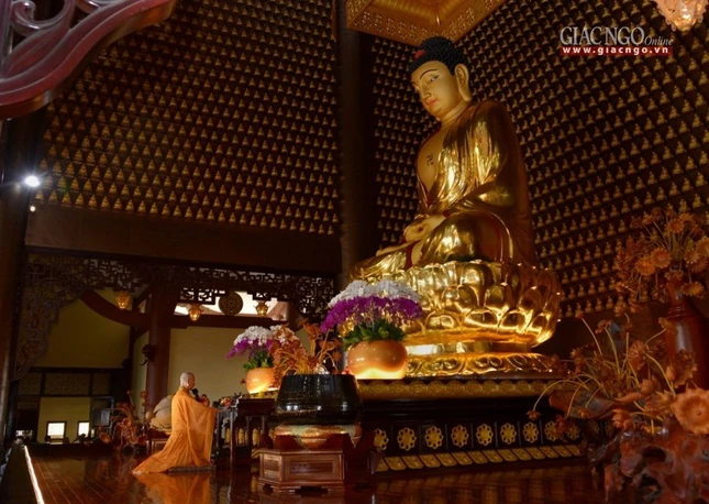 Le via Phat A Di Da (2).jpg