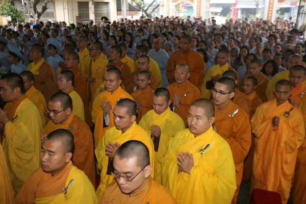 thanhdao2561 (14).jpg