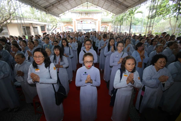 thanhdao2561 (15).jpg