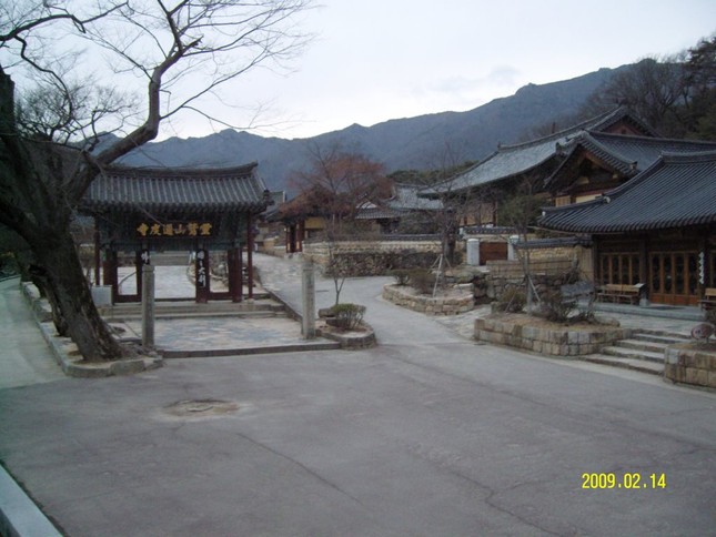 Tongdotemple (2).jpg
