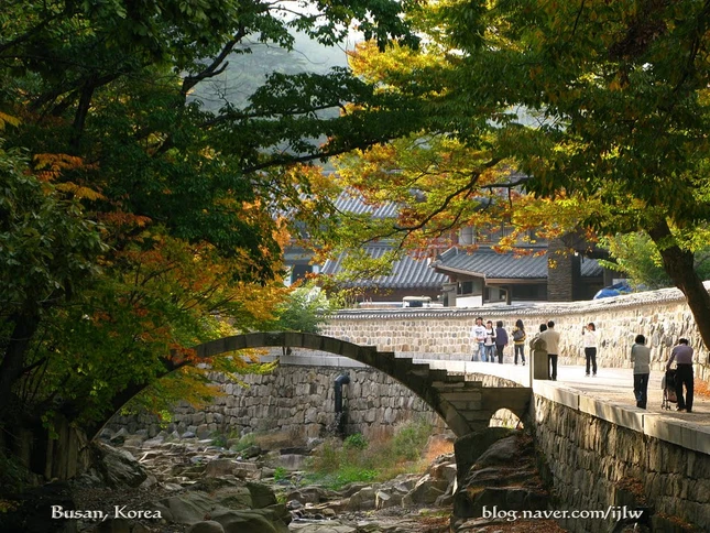 Tongdotemple (3).jpg