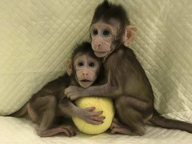 khi nhan ban vo tinh.jpg