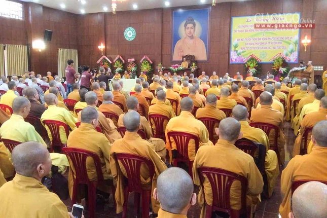 hoangphaptw (2 of 4).jpg