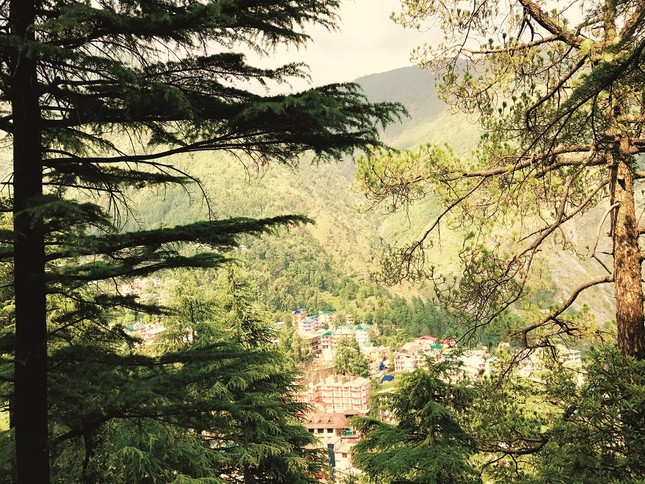 Dharamsala1.jpg