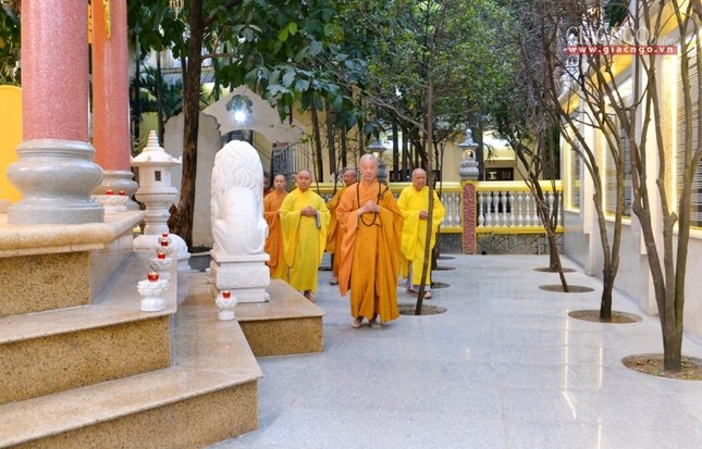 Vi_ng b_o th_p (10).jpg