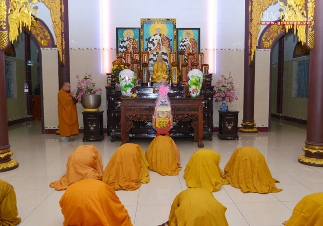 Vi_ng b_o th_p (2).jpg