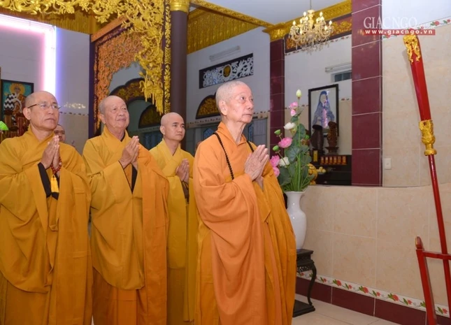 Vi_ng b_o th_p (3).jpg