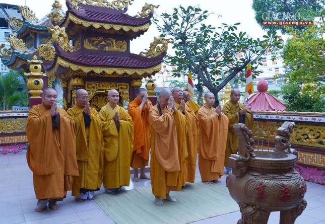 Vi_ng b_o th_p (5).jpg