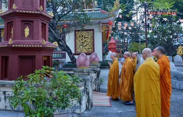 Vi_ng b_o th_p (6).jpg