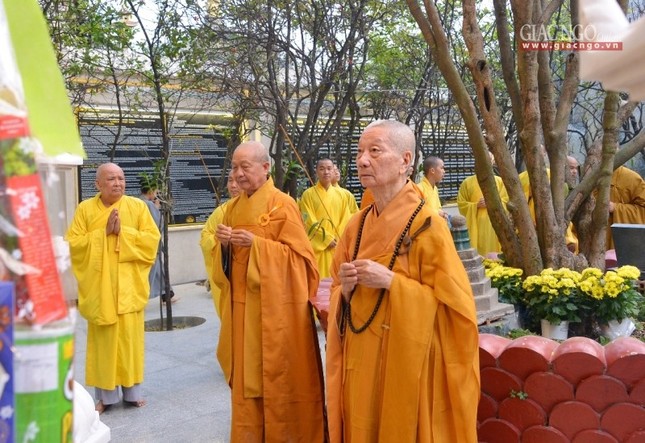 Vi_ng b_o th_p (7).jpg