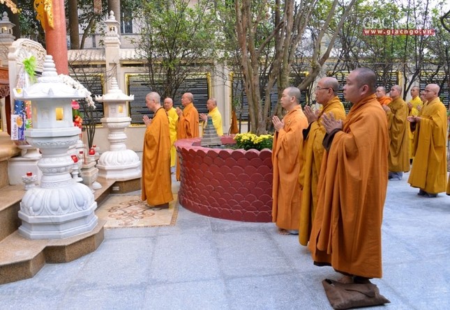 Vi_ng b_o th_p (8).jpg