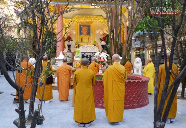 Vi_ng b_o th_p (9).jpg