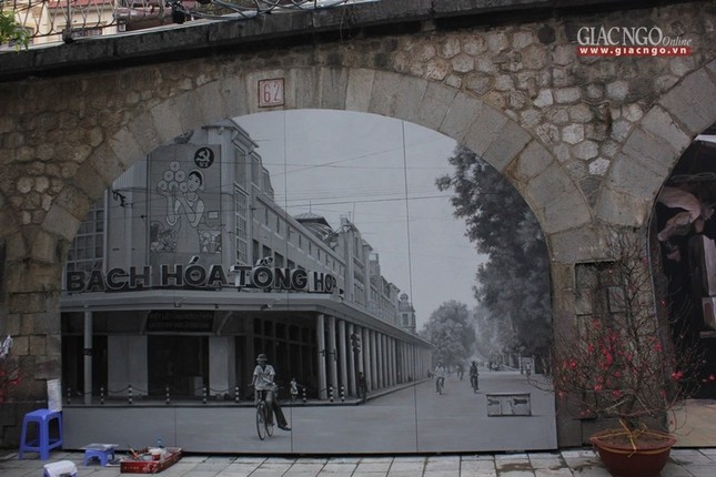 bichhoa13.jpg