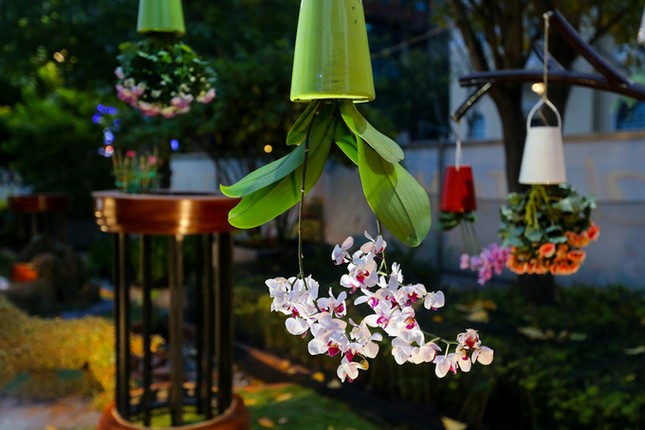 Đường hoa Nguyễn Huệ trước ngày khai mạc ảnh 11 11.jpg