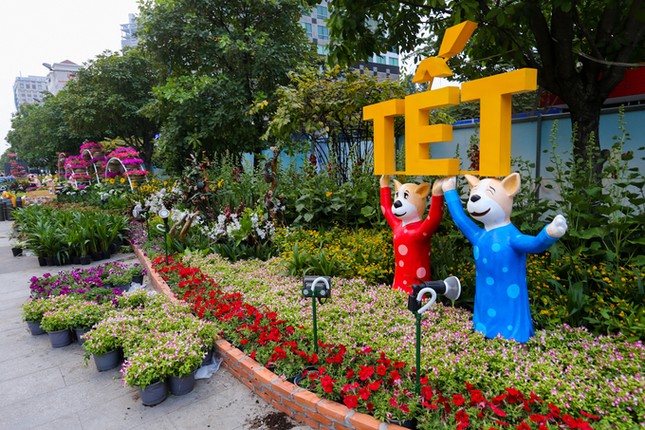 Đường hoa Nguyễn Huệ trước ngày khai mạc ảnh 5 5.jpg