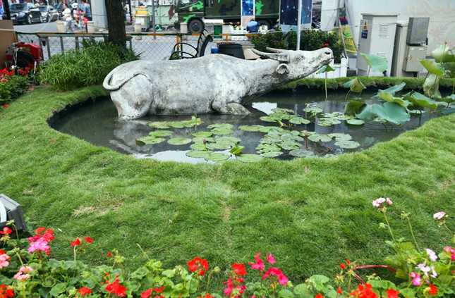 Đường hoa Nguyễn Huệ trước ngày khai mạc ảnh 6 6.jpg