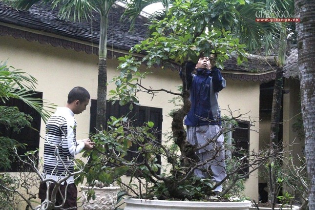 Chùa Huế những ngày cuối năm ảnh 4 4.jpg