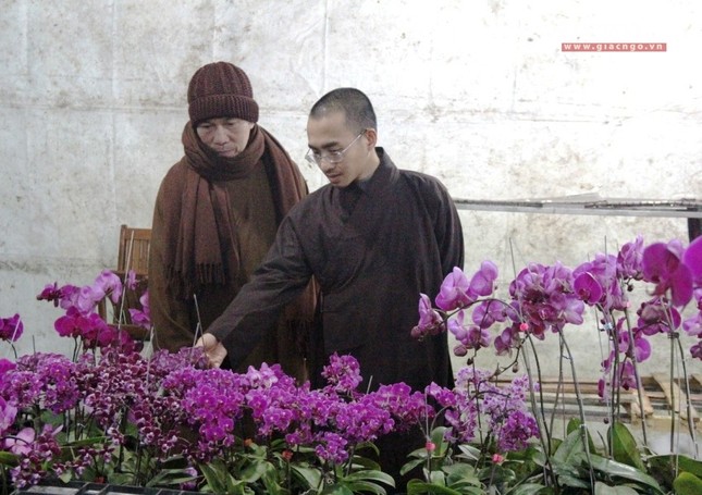 Chùa Huế những ngày cuối năm ảnh 8 8.jpg