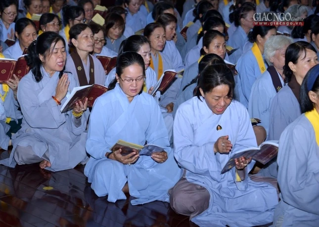 T_n __n D__c S_  (10).jpg