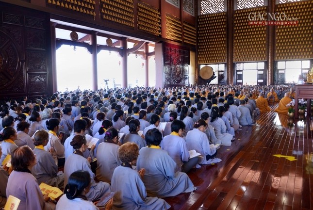 T_n __n D__c S_  (2).jpg