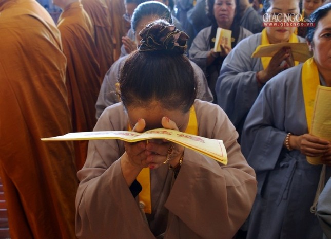 T_n __n D__c S_  (20).jpg