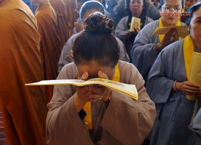 T_n __n D__c S_  (20).jpg