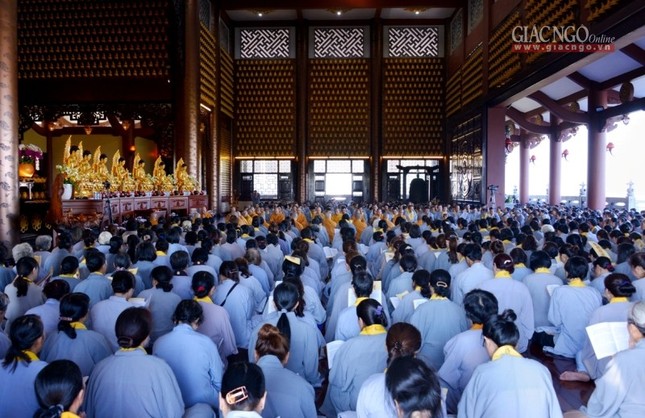 T_n __n D__c S_  (3).jpg