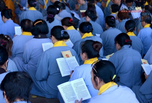 T_n __n D__c S_  (6).jpg