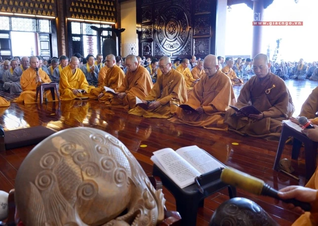 T_n __n D__c S_  (7).jpg