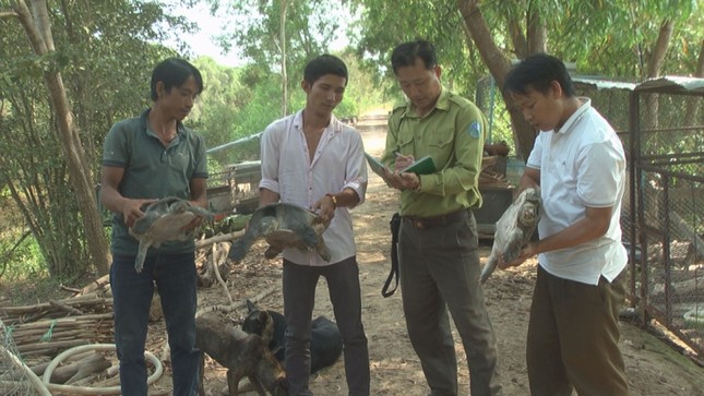 Kiem tra Cua Dinh chuan bi tha vao Vuon.jpg