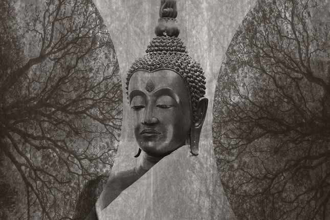 buddha-3218030_960_720.jpg