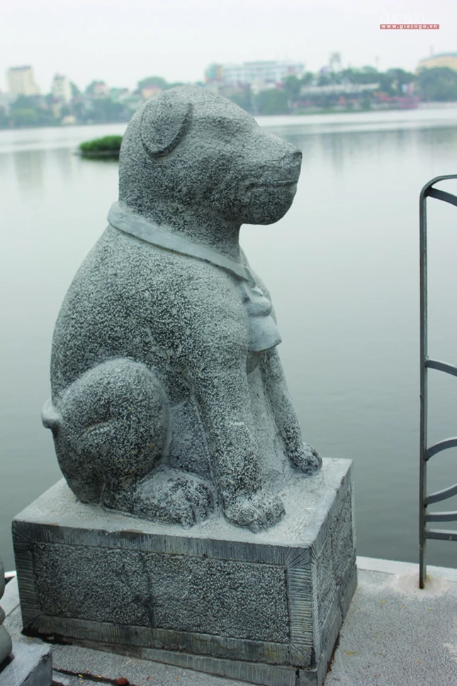 cho da o den cau nhi.jpg