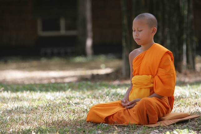 Novice_meditating_in_forest.jpg