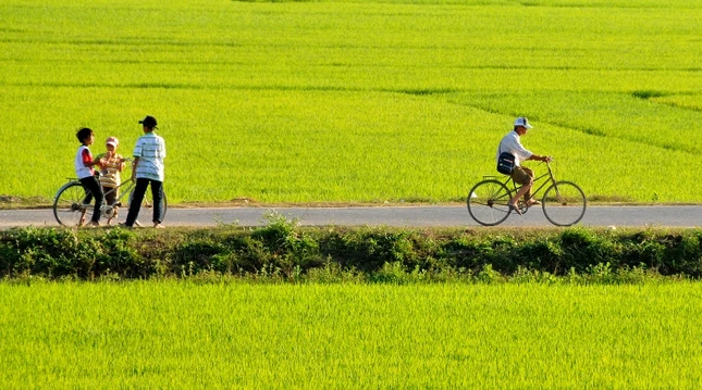 Đường thơm ảnh 1 anh duong que.jpg