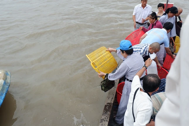 Bentre2.JPG