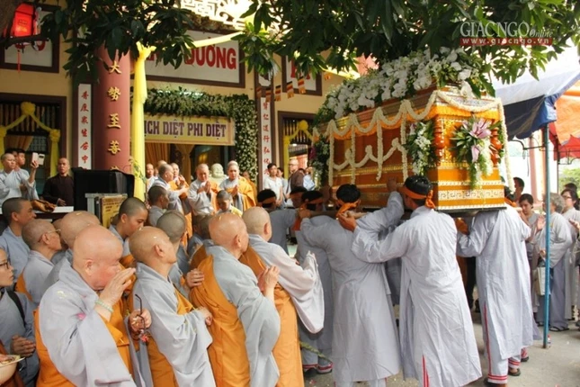 NT  (13).jpg