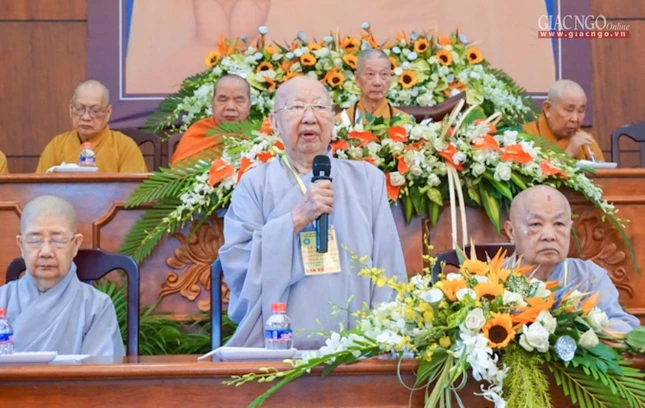 ANH D (15).JPG