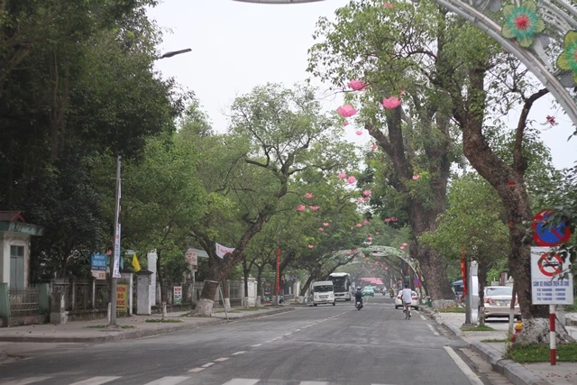 Phật giáo Huế sẵn sàng đón Festival 2018 ảnh 6 6_jpg.jpg