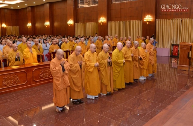 ANHAA (1).JPG