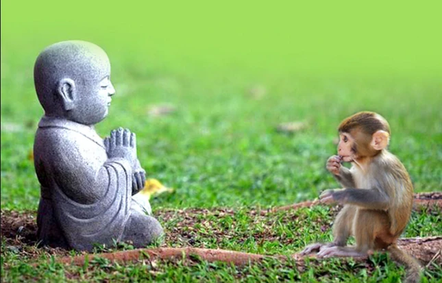 Tổng luận ý nghĩa bốn sinh đạo ảnh 1 monkandmonkey.png