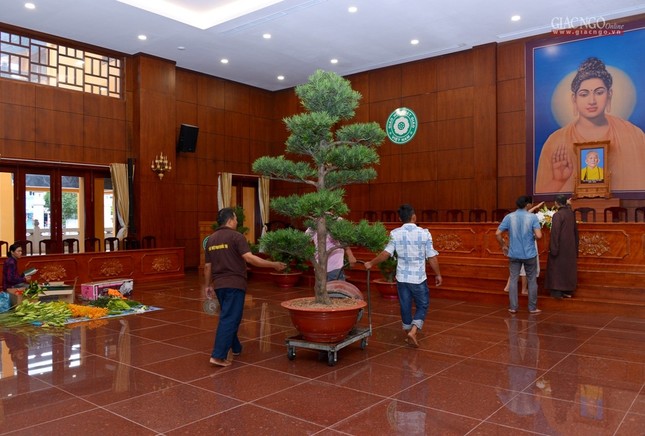 Chuan bi _G_ (18).jpg