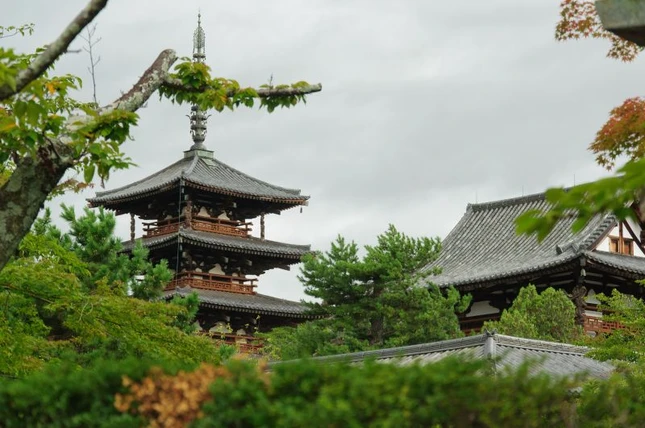 chuaphaplong (6).jpg