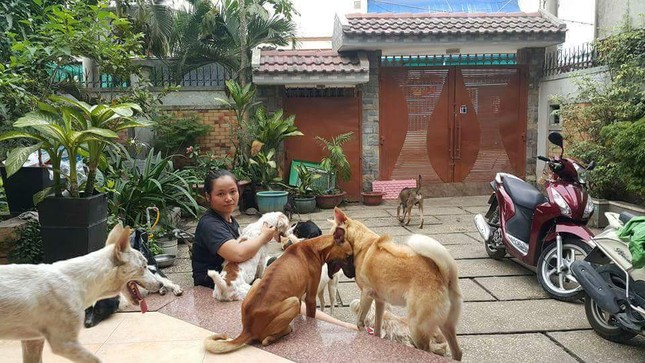 anh bai trang Tre.jpg