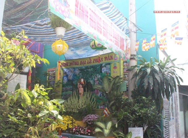 Hẻm lao động nghèo ở Sài Gòn lại đón Đản sinh ảnh 2 4tg.jpg