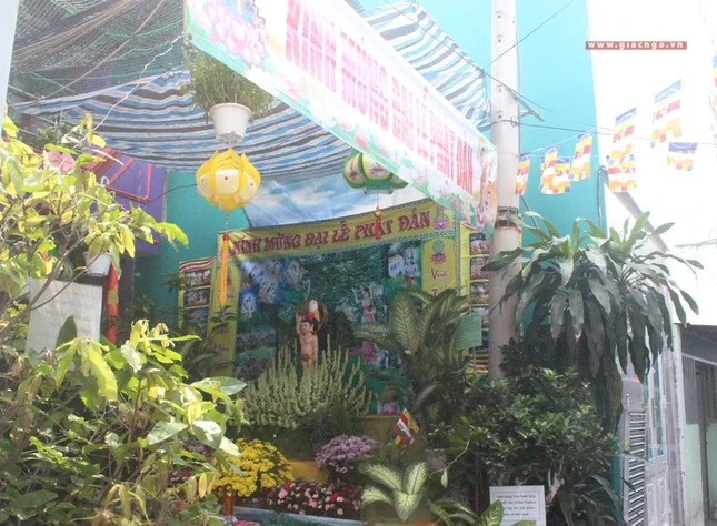 Hẻm lao động nghèo ở Sài Gòn lại đón Đản sinh ảnh 2 4tg.jpg